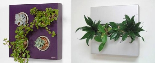 flower-box-plants-582x238_width