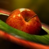 5 beneficii aduse de mere