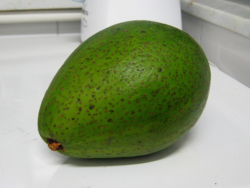 avocado_fruct_width