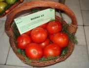 tomate buzau 22