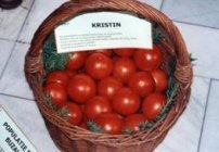 tomate kristin