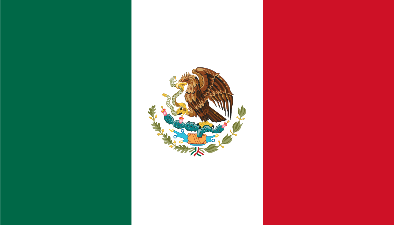 steag mexic